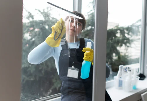 Nettoyage de vitres intérieures et extérieures à Allemans